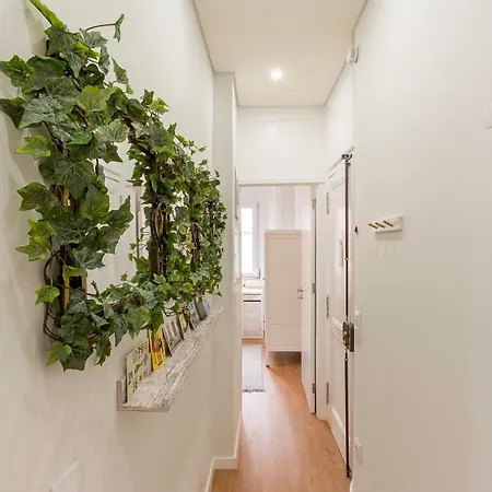Appartement Charming For A Great In Lisboa
